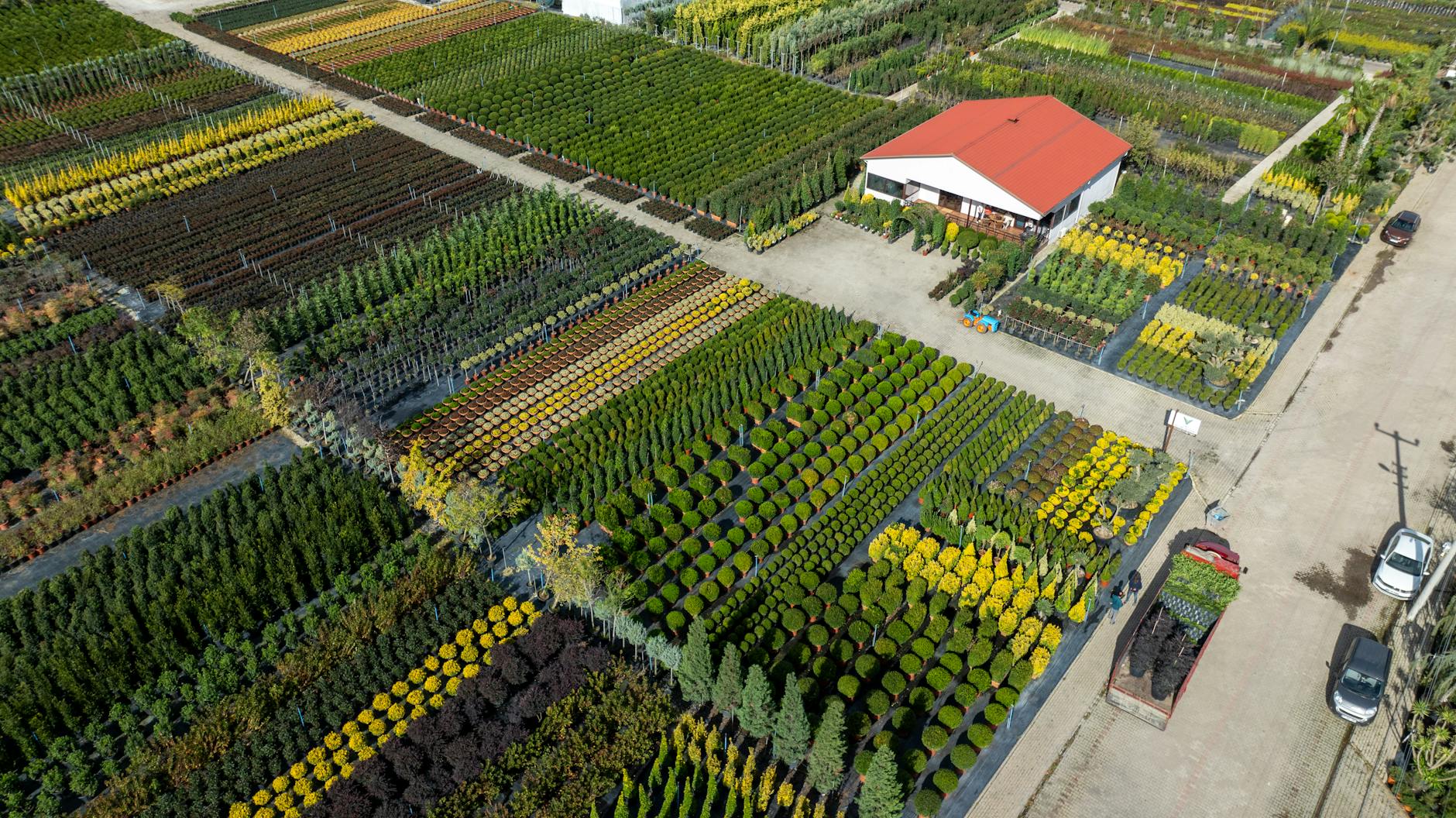 Colorful aerial photography of a plant nursery in Yalova, Türkiye, showcasing diverse greenery and vibrant horticulture.